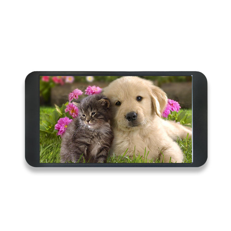 7 Inch 1080P Monitor 1920*1080 - Gaming Console And 评论和价格